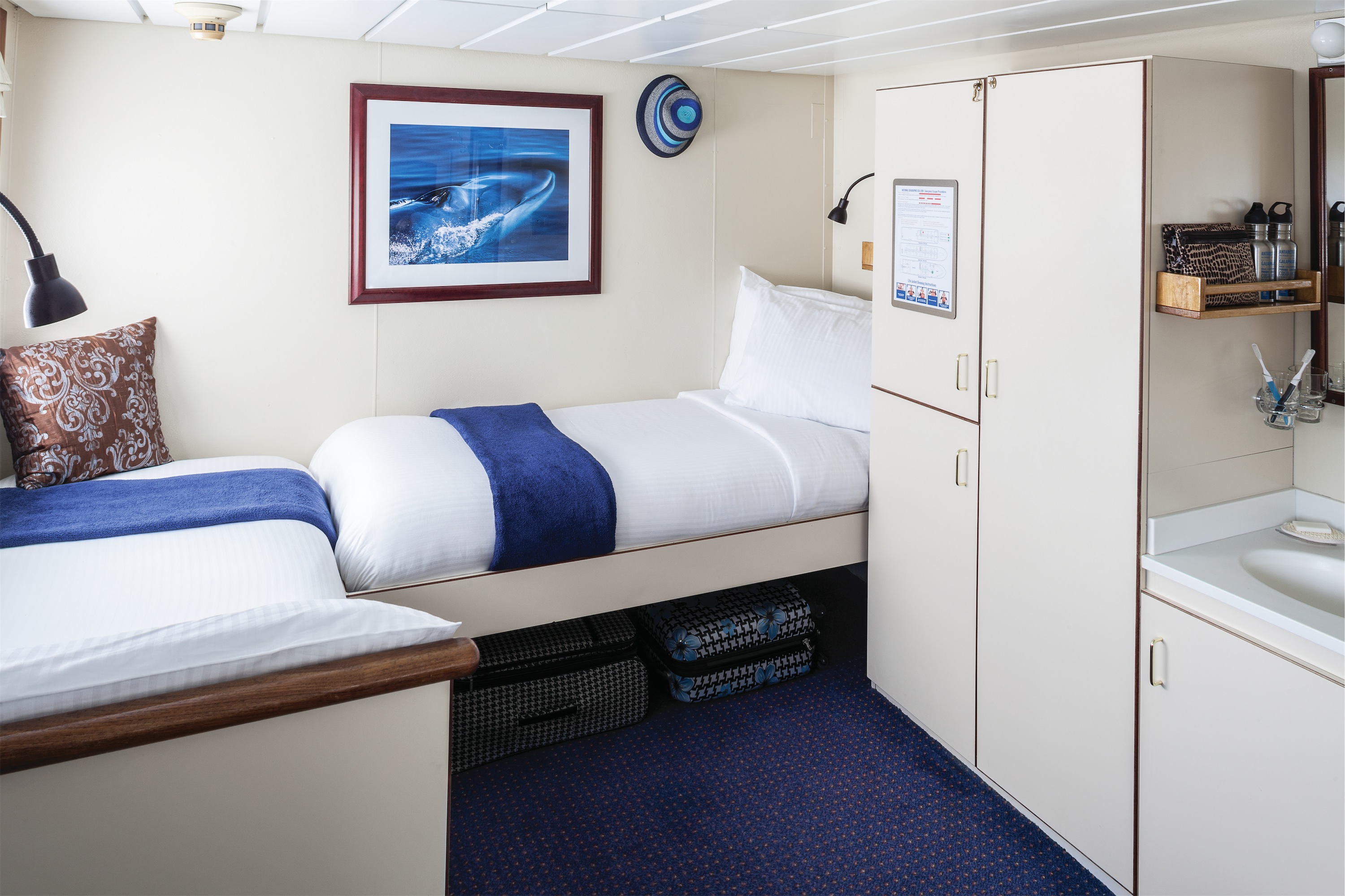 Lindblad Expeditions National Geographic Sea Bird & National Geographic Sea Lion Accommodation Category 2 Twins.jpg